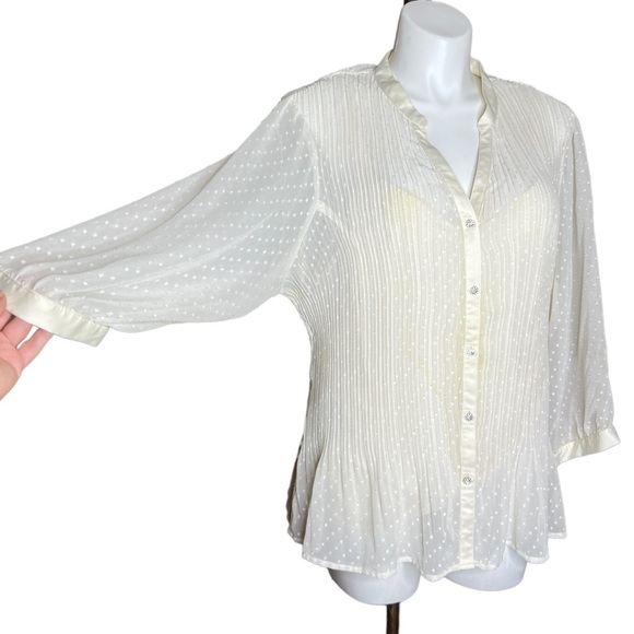 Lane Bryant Sheer Cream Pleated Blouse size 22/24 - Picture 7 of 16